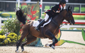 L’IJRC chiede alla FEI una revisione della regola sull’eliminazione