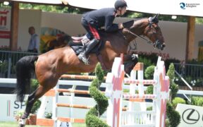 Longines FEI Jumping Ranking, Gaudiano è 25° al mondo. Il leader resta von Eckermann