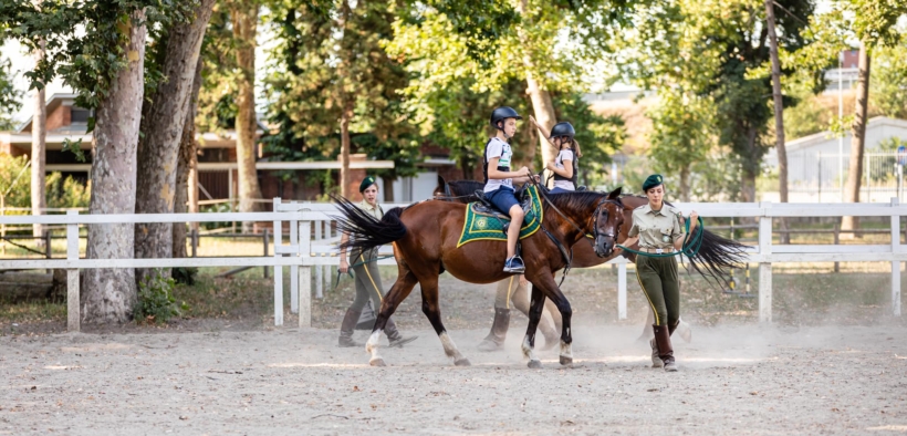 Milano: all'Idroscalo la nuova struttura per cavalli confiscati alla mafia