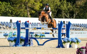 Riccardo Pisani sigla la 145 a fasi di Grimaud - St. Tropez (CSI2*)