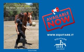 Bozza automatica 266