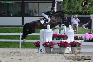 Campionati Europei Giovanili FEI: ecco come è andata la gara Juniores (ind. e squadre) 2