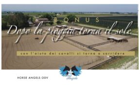 "Dopo la pioggia torna il sole" - il progetto solidale di Horse Angels 1