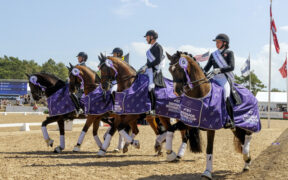 Dressage: La Danimarca vince l'ultima tappa della Nations Cup a Falsterbo 1