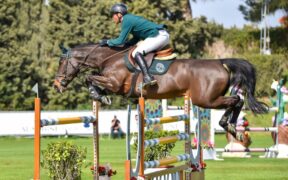 Grand Prix di Hickstead: Francesco Turturiello ai piedi del podio (CSIO5*)