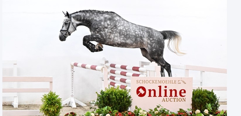 100.000 euro per la sorellastra di Dicannus: