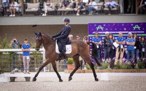 Europei di Completo: Italia ottava dopo il dressage 2