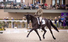 Europei di Completo: la prima parte dei risultati del dressage