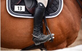 McAuley eliminato per la Blood Rule: la dichiarazione di Blake capo equipe irlandese