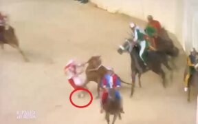 Palio di Siena: IHP chiede trasparenza sull'infortunio di Abbasantesa