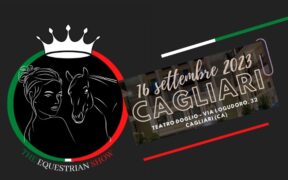 Bozza automatica 267