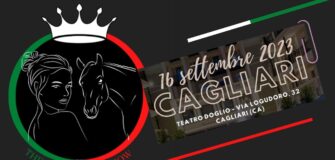 Bozza automatica 267