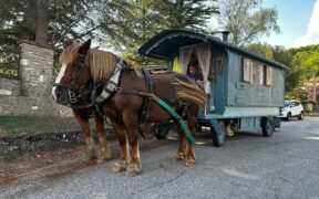 CAITPR: in roulotte con i cavalli dalle Alpi alla Sicilia 1