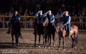 Cavalli Sotto la Torre:  si celebra l'arte equestre con artisti provenienti da tutta Europa 2