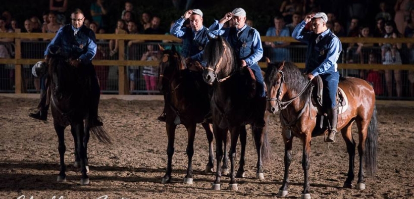 Cavalli Sotto la Torre:  si celebra l'arte equestre con artisti provenienti da tutta Europa 2