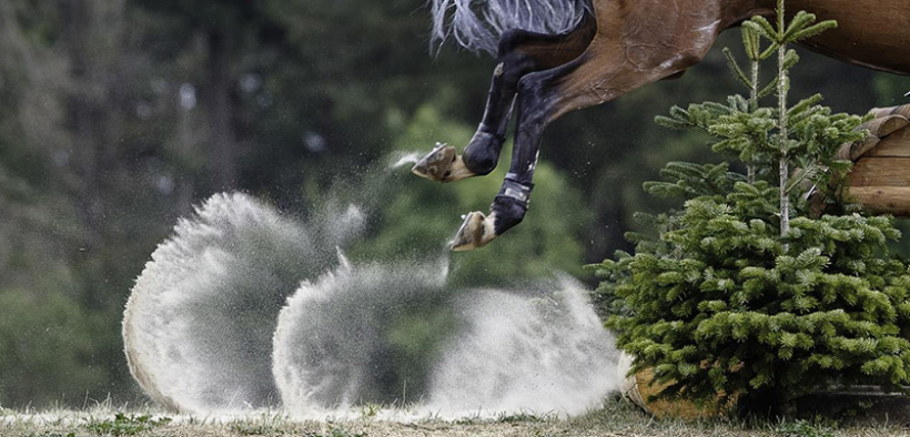 Completo: Panizzon e Giugni piazzati ad Ardingly e Ballindenisk