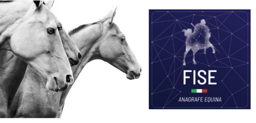 E' on line e disponibile il portale FISE "Anagrafe Equina" 1