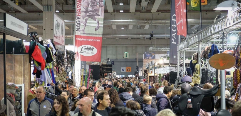 Fieracavalli lancia Safety Hope: il progetto di sicurezza per animali e visitatori