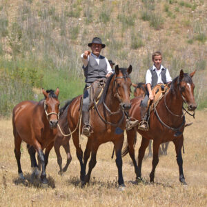 Filippo Nassi ed i suoi cavalli maremmani 1