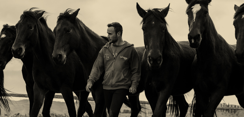 Filippo Nassi ed i suoi cavalli maremmani