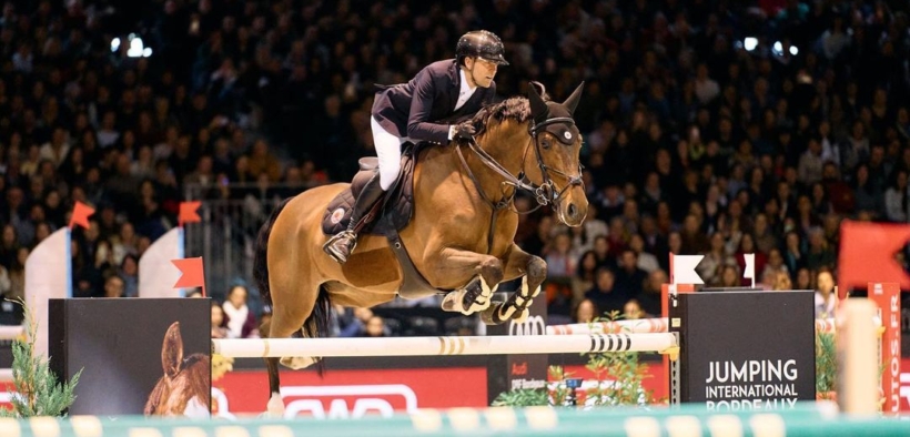 Iniesta V, il KWPN presentato da Simon Delestre è stato venduto