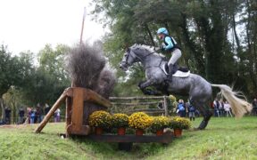 Completo: i vincitori del Campionato del mondo giovani cavalli di Le Lion D’Angers