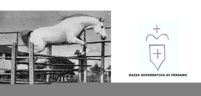 I cavalli Persano tornano a Persano
