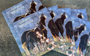 "I tesori della biodiversità", nuovo