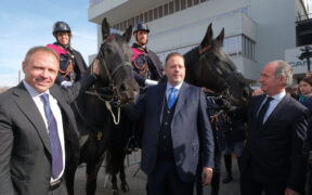 Al via oggi la 125° Fieracavalli Verona, presenti 700 aziende da 25 nazioni