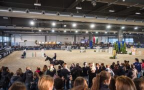 Fieracavalli Verona: la programmazione dell'Arena FISE