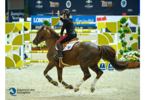 Fieracavalli Verona: l’addio alle competizioni di Quidich de la Chavee 2