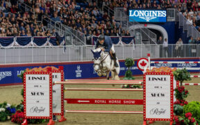 Grand Prix Internazionali: ecco i podi (#week 45)