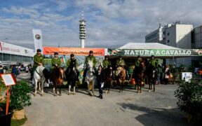 Il ministero impegnato con stanziamenti per lo sviluppo dell'equiturismo