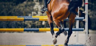 In arrivo in Italia il certificato di idoneità del cavallo atleta