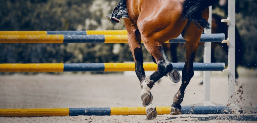In arrivo in Italia il certificato di idoneità del cavallo atleta