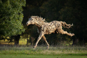 Le sculture equestri di James Doran e la “driftwood art” 1