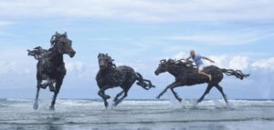 Le sculture equestri di James Doran e la “driftwood art” 8