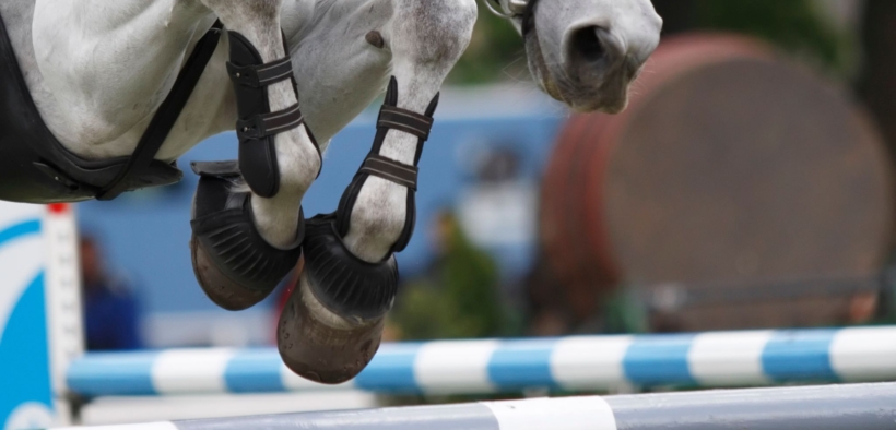 L’IJCR chiede una revisione della regola sull’eliminazione