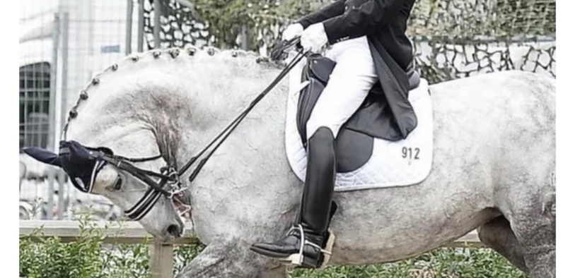 Scandalo Rollkur in Helgstrand: dichiarazione della FEI sul documentario "Operazione X”