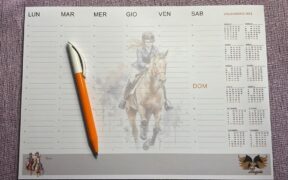 Scopri il Merchandising a sostegno di Horse Angels! 3