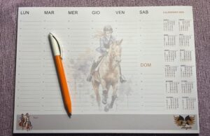 Scopri il Merchandising a sostegno di Horse Angels! 3