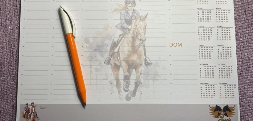 Scopri il Merchandising a sostegno di Horse Angels! 3