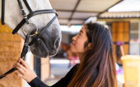Un sondaggio ha rivelato cosa pensano le persone a proposito dell’uso dei cavalli nello sport