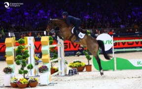 World Cup Verona: De Luca secondo nel Piccolo GP targato Crivelli