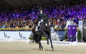 Dressage: a Charlotte Fry la sesta tappa FEI Dressage World Cup™ di Mechelen