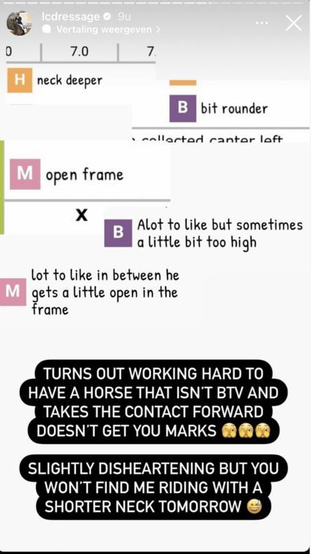 Dressage: il cavaliere britannico Lewis Carrier si schiera contro i giudici 1