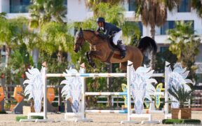 Grand Prix Internazionali: ecco i podi (#week 49)