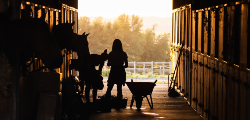 La FEI ha lanciato la campagna “Think outside the box” 1