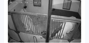 La FEI ha lanciato la campagna “Think outside the box”