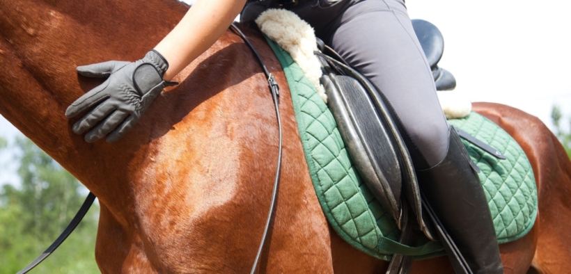 Sono 3 milioni gli appassionati del cavallo in Italia